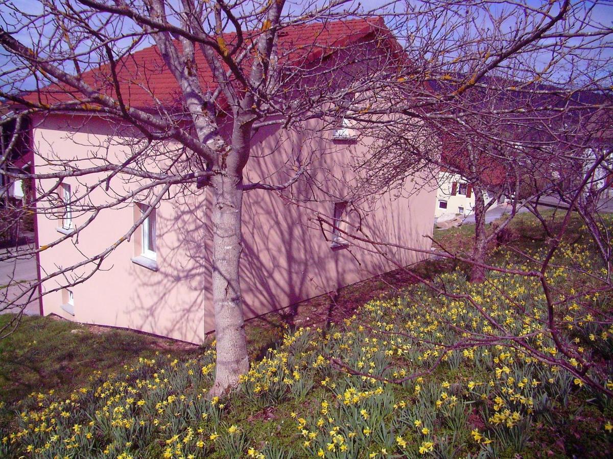 הוילה Maison Spacieuse Pres De Gerardmer Avec Vue Sur Le Lac מראה חיצוני תמונה