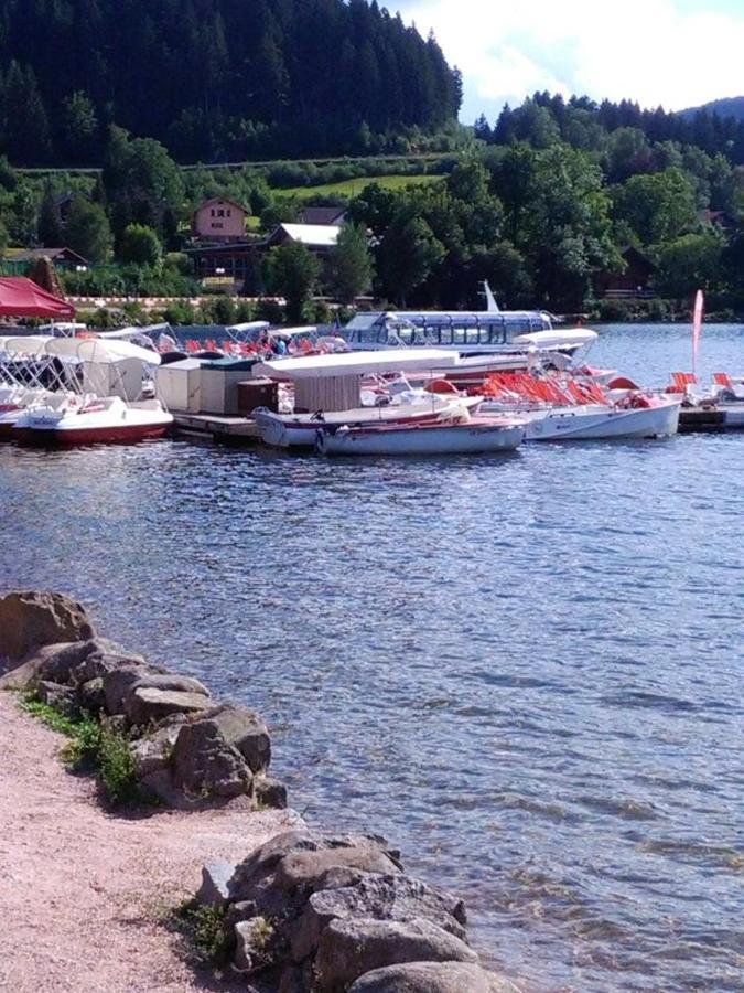 הוילה Maison Spacieuse Pres De Gerardmer Avec Vue Sur Le Lac מראה חיצוני תמונה