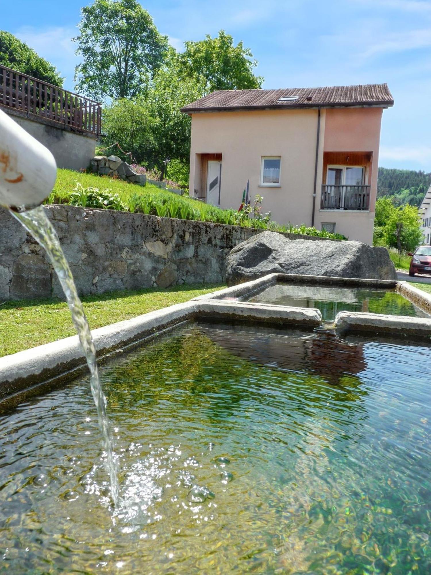 הוילה Maison Spacieuse Pres De Gerardmer Avec Vue Sur Le Lac מראה חיצוני תמונה